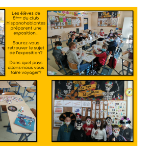 activité expo